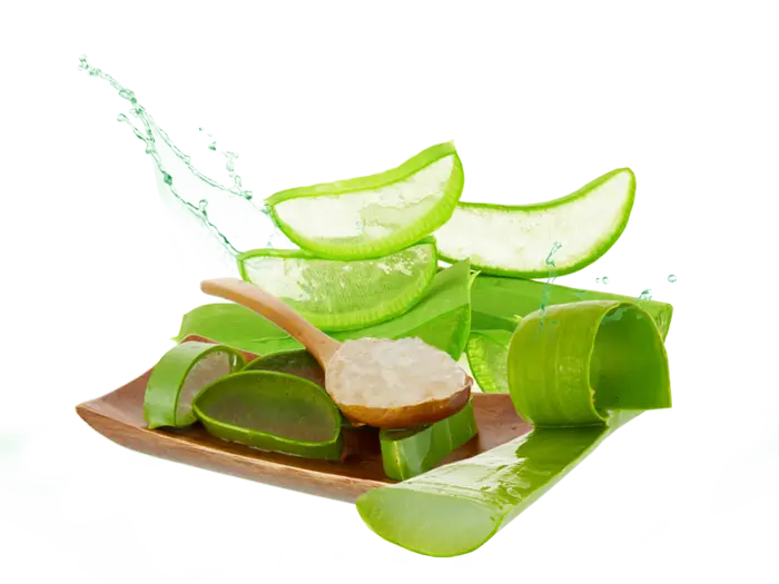 Aloe Vera Gel with Fresh Leaves