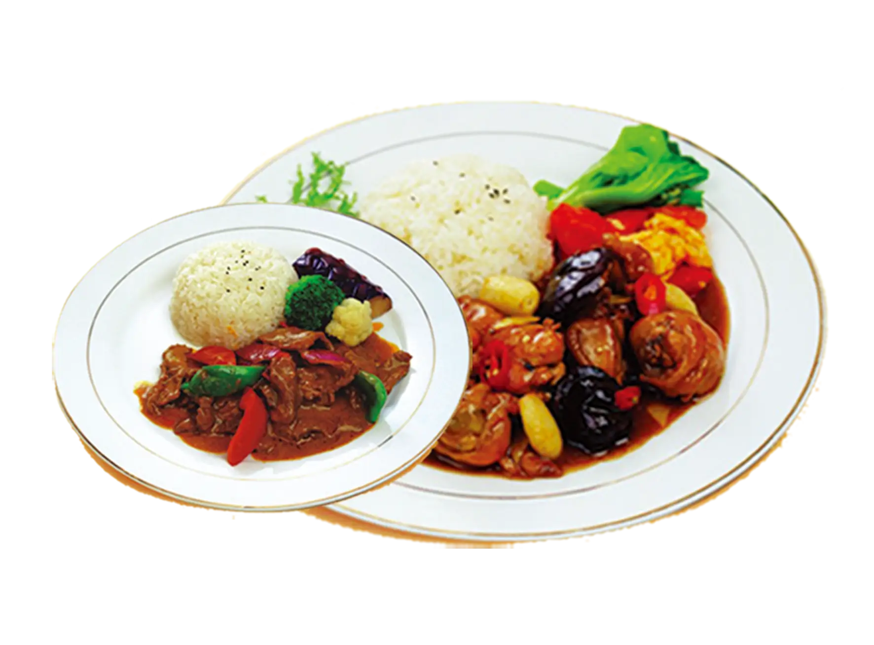 Delicious Plate of Food with Rice and Vegetables