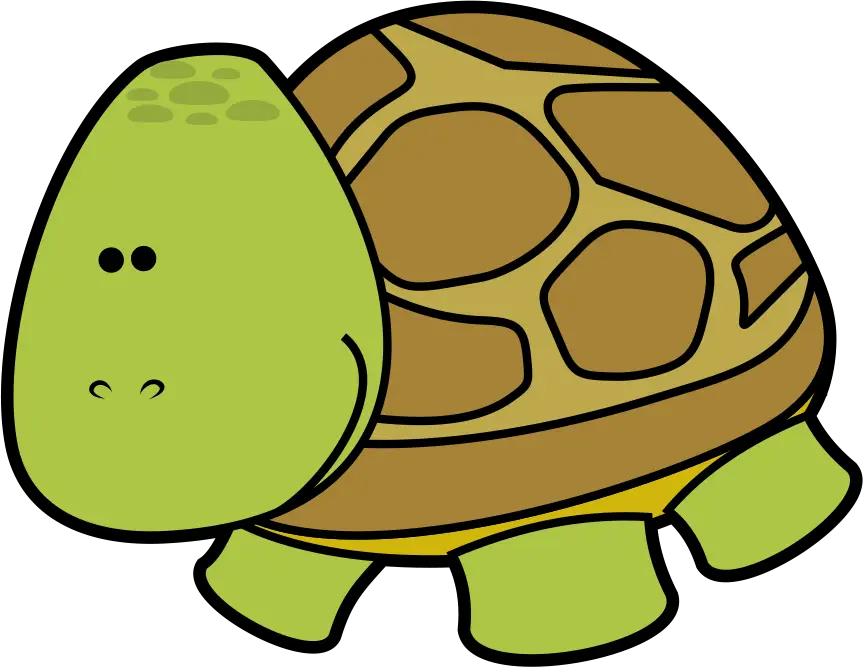 Cartoon Turtle Illustration with Green Shell
