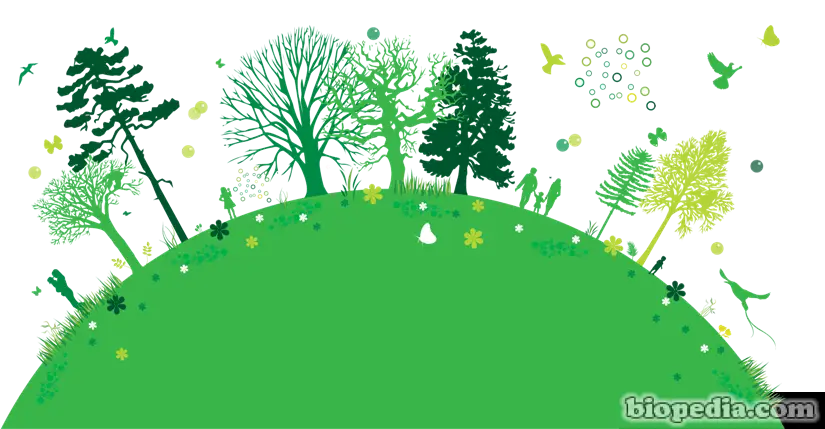 Green Hill with Trees and Wildlife Illustration