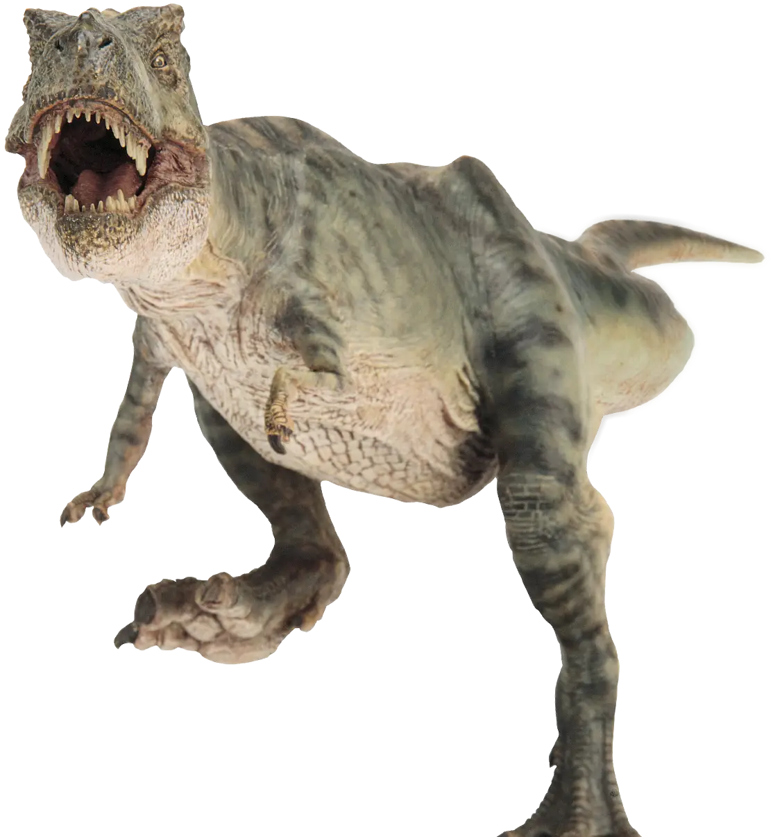 Ferocious Carnivorous Dinosaur Illustration