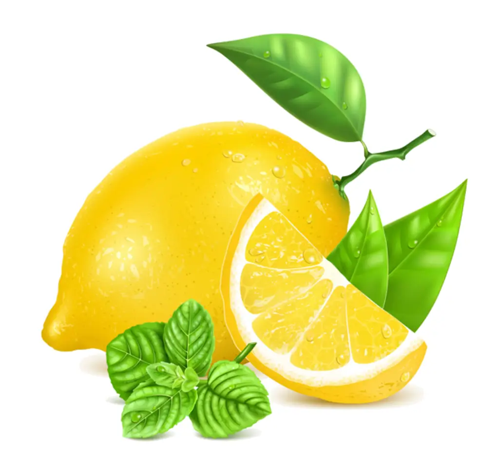 Fresh Lemon with Leaves and Mint