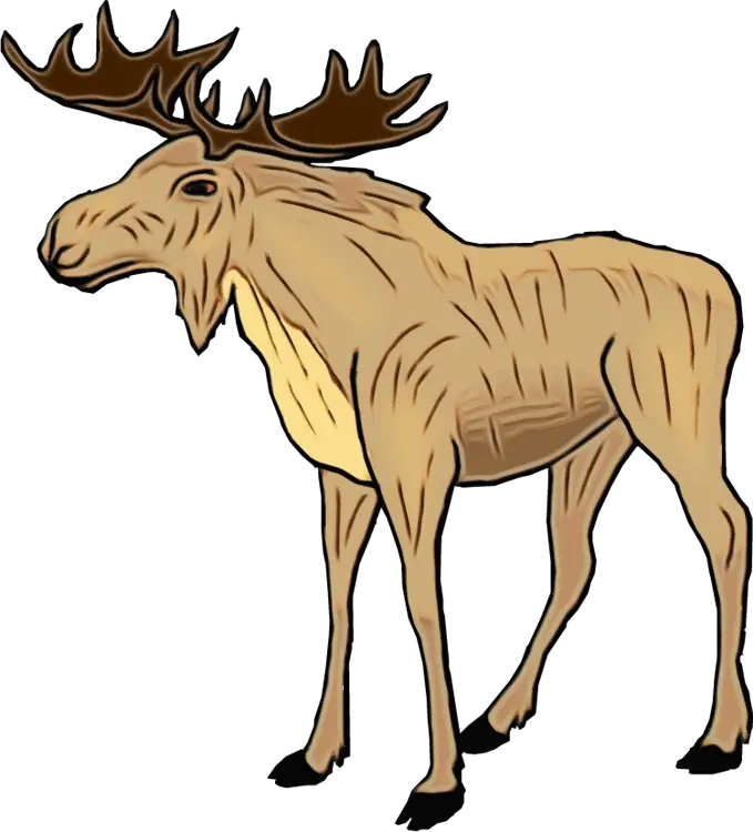 Brown Moose Illustration in Natural Style