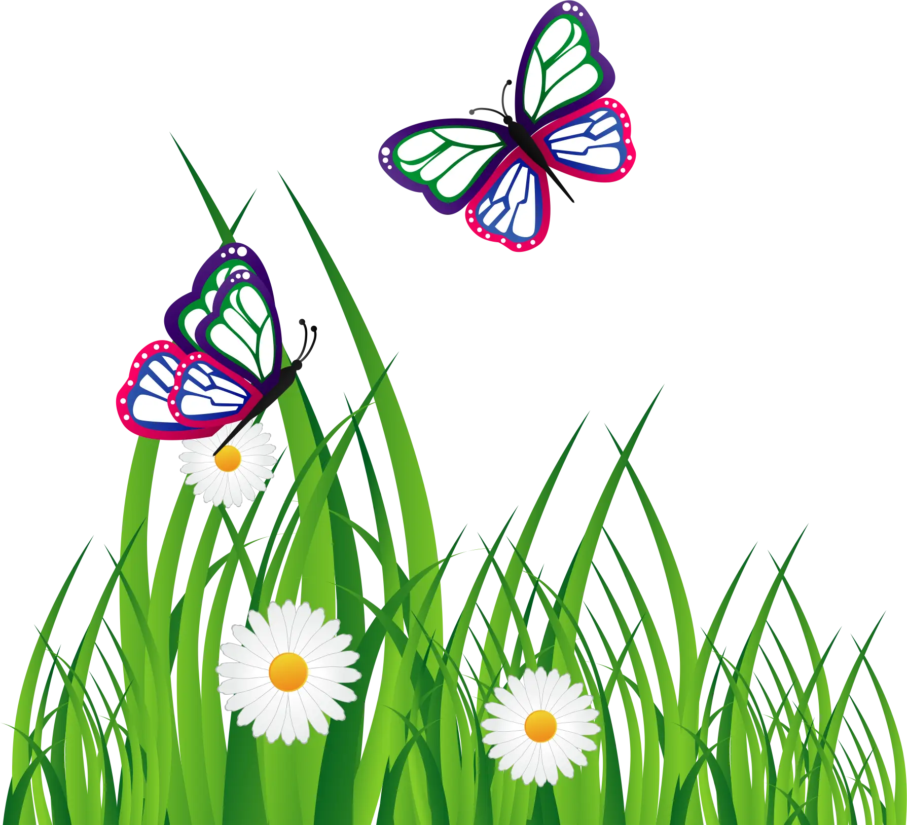 Butterflies in Grass with Daisies