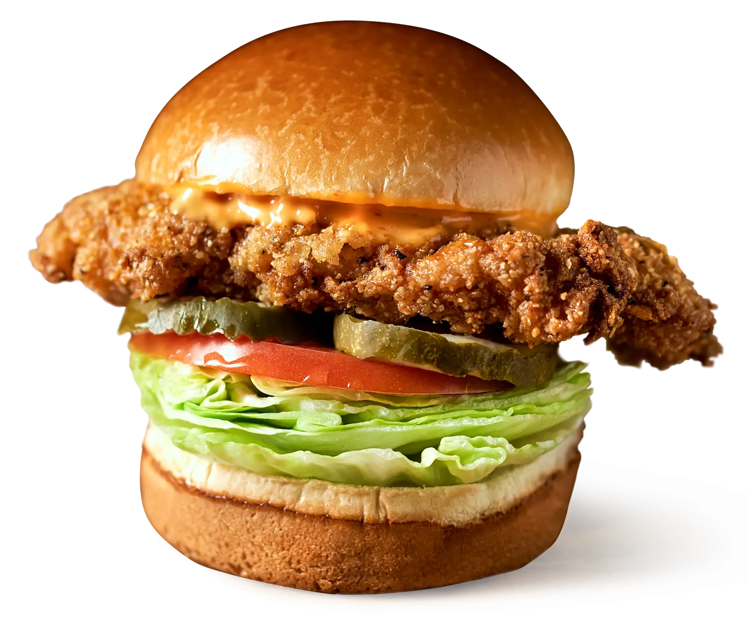 Crispy Chicken Burger with Fresh Toppings