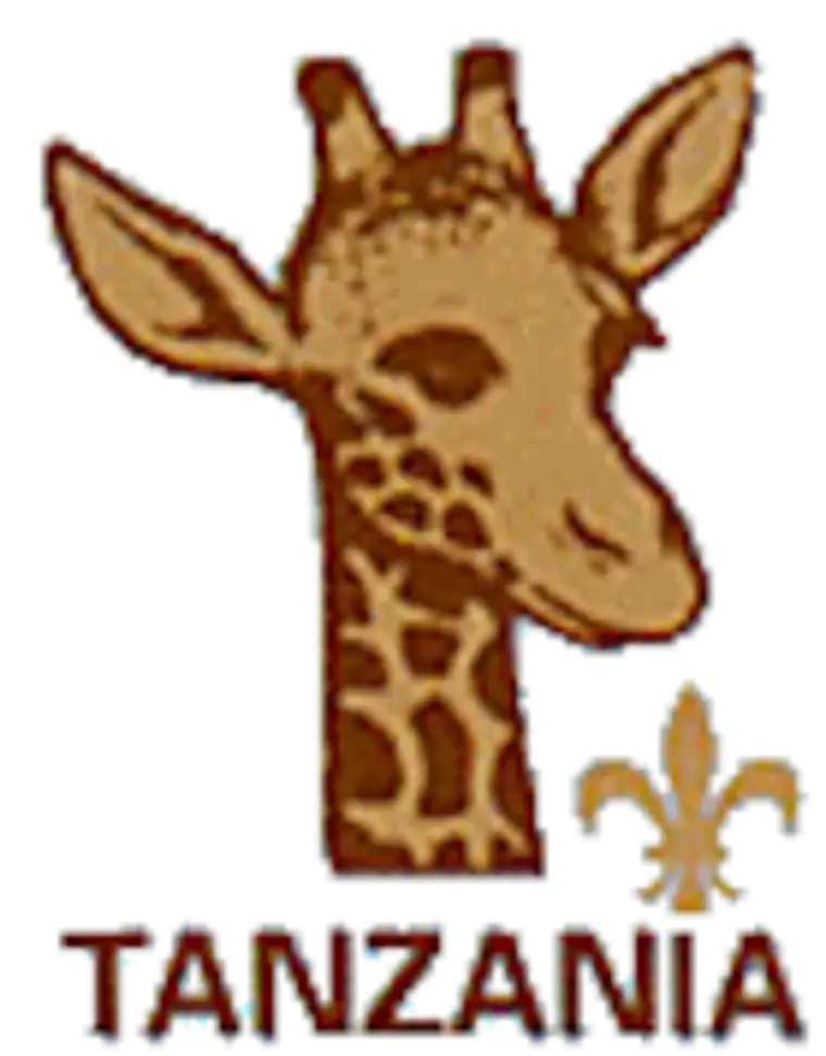 Tanzania Giraffe Emblem