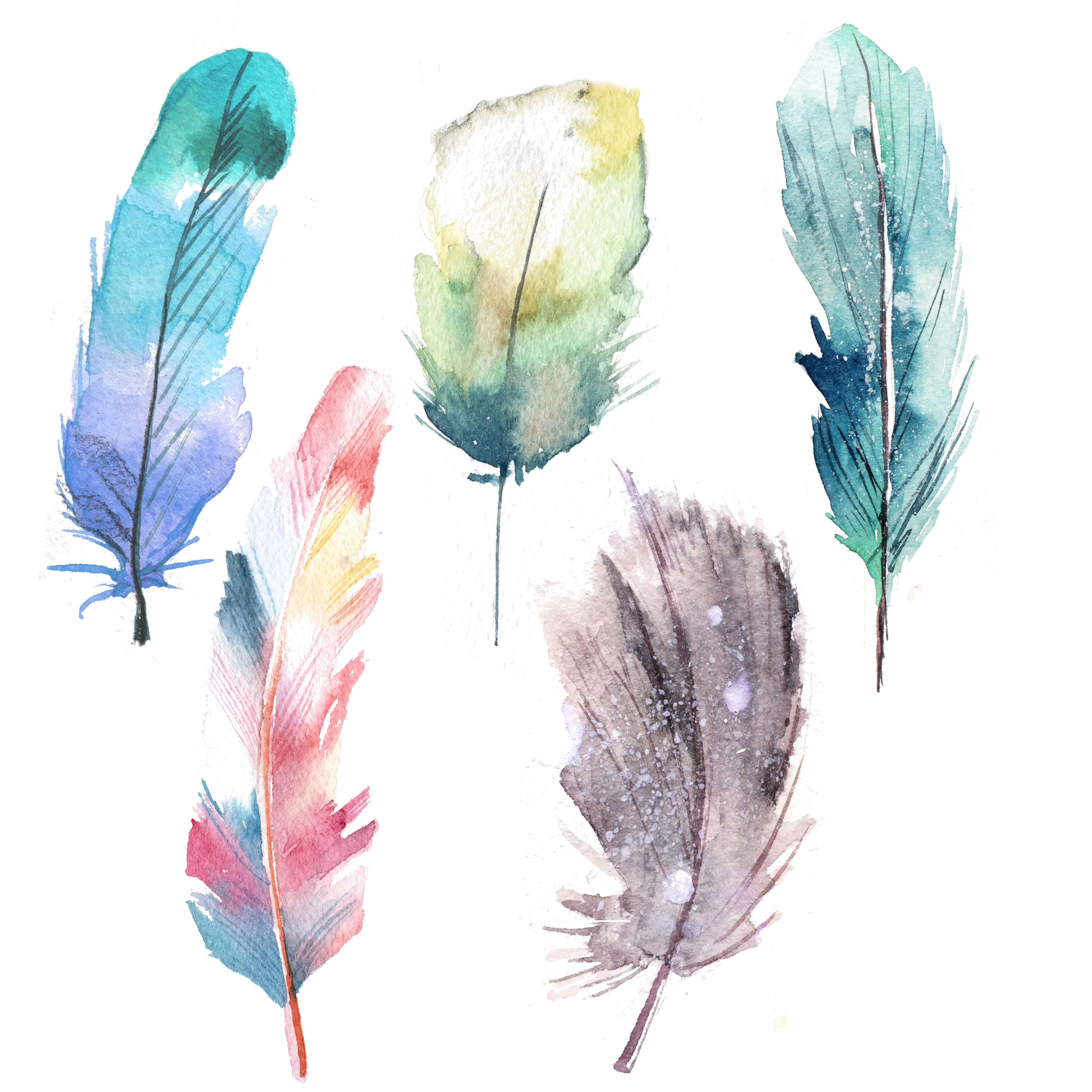 Watercolor Art Colorful Feathers