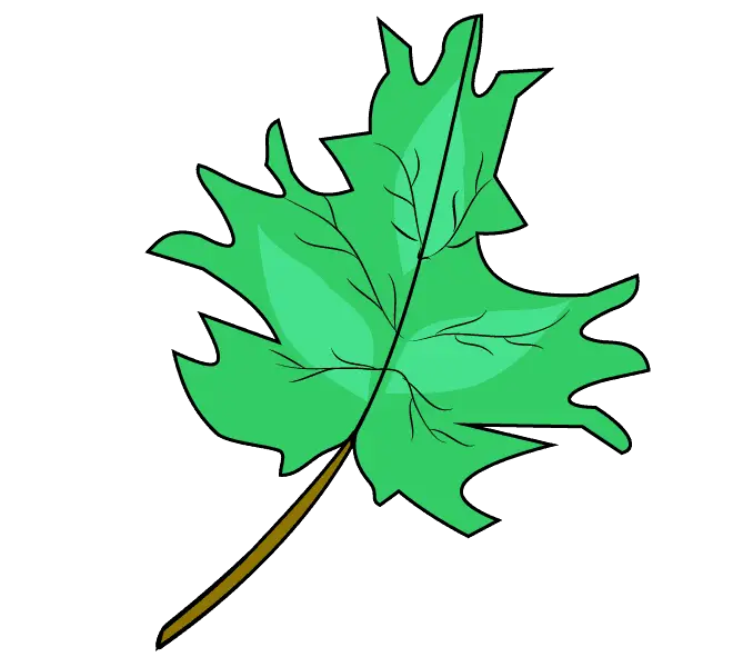 Green Maple Leaf Nature Illustration