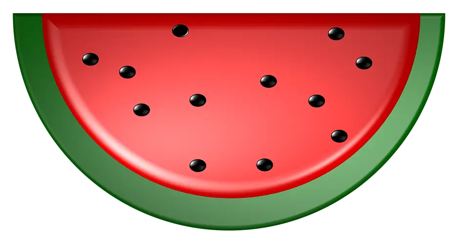 Juicy Watermelon Slice Graphic Illustration
