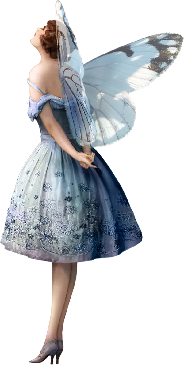 Elegant Fairy with Butterfly Wings