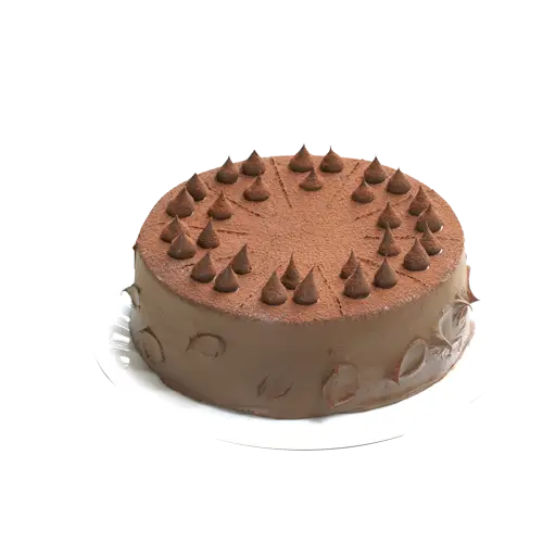 Delicious Chocolate Cake with Frosted Decorations