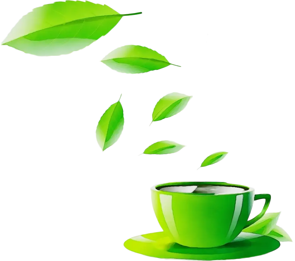 Green Tea Cup and Falling Leaves
