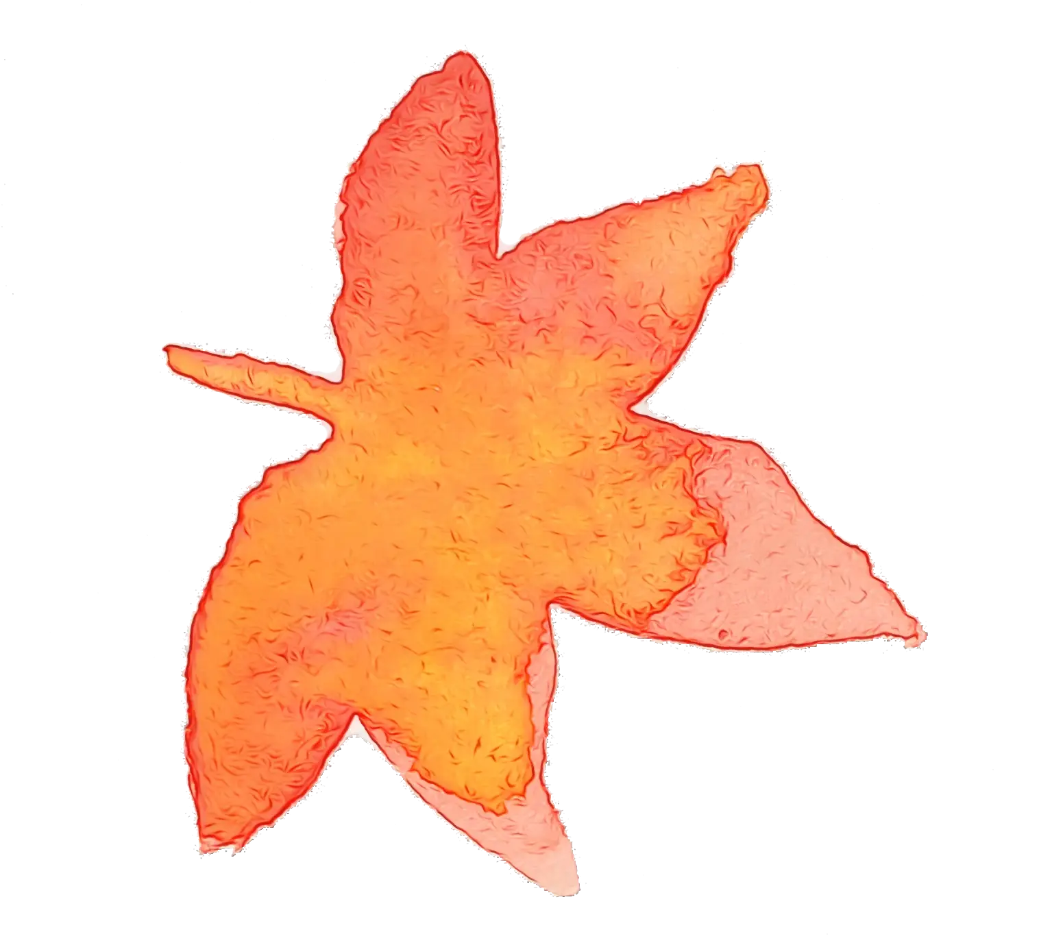Red Watercolor Maple Leaf Illustration