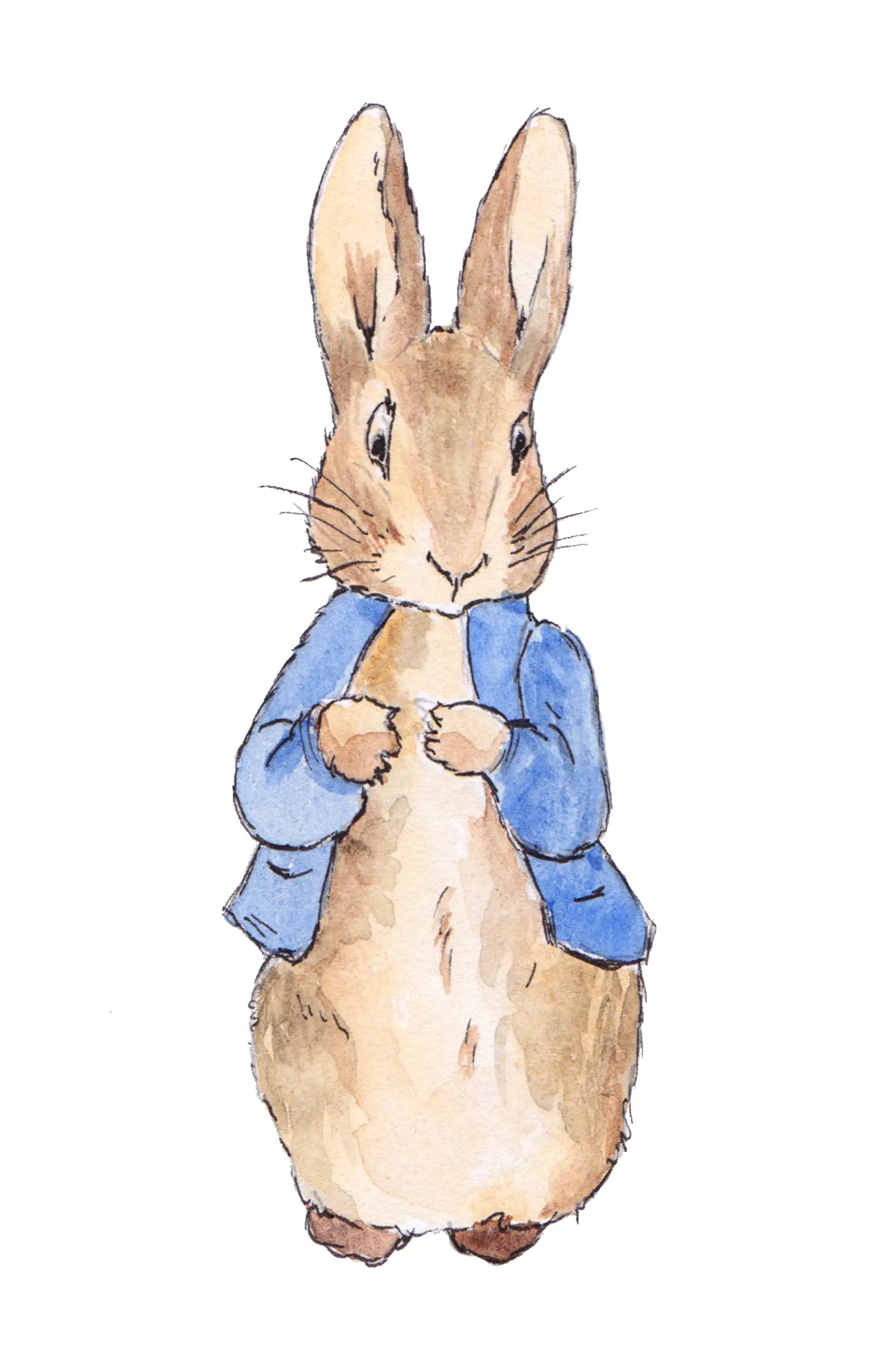 Cute Rabbit in Blue Jacket