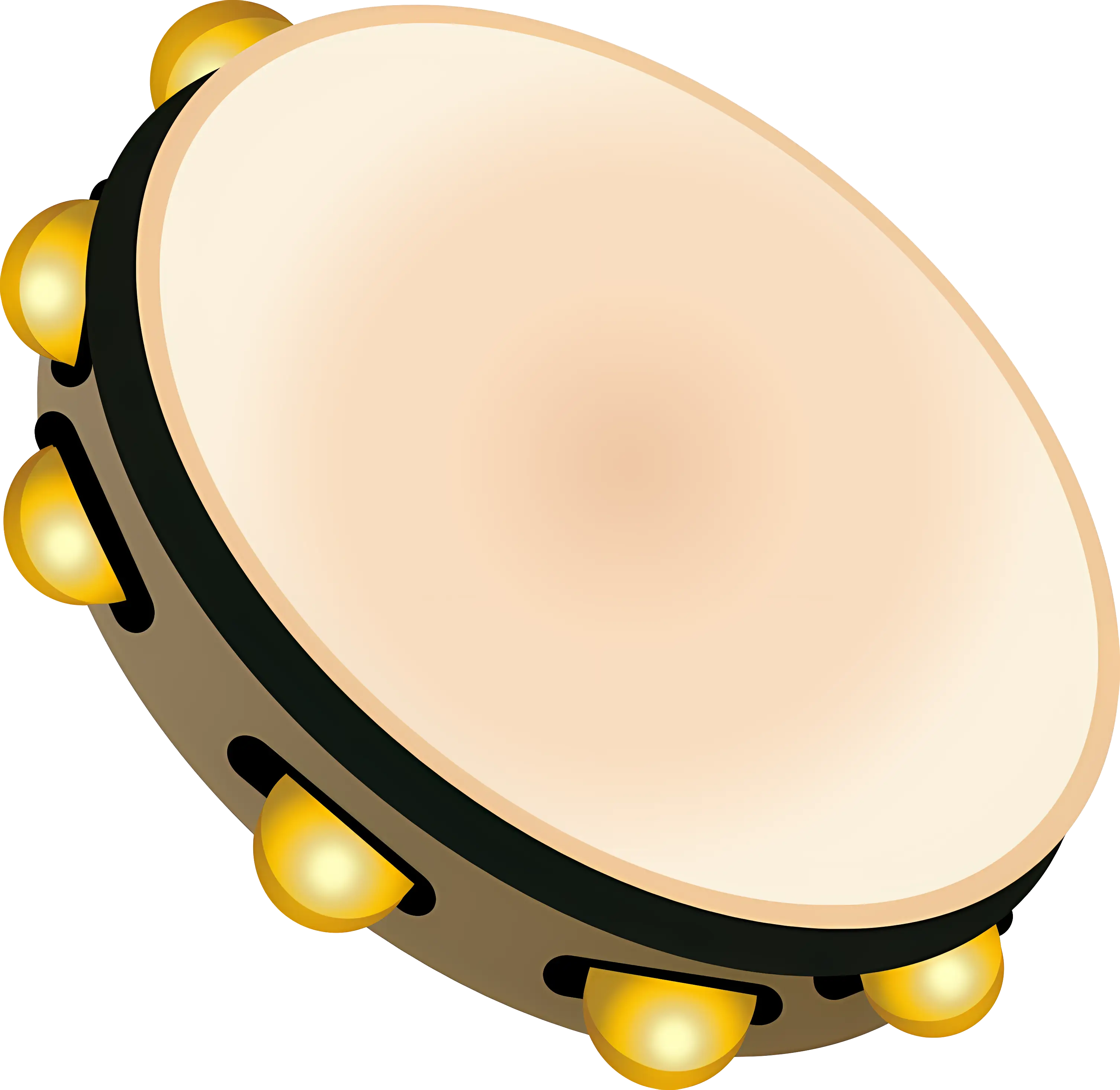 Tambourine Percussion Instrument