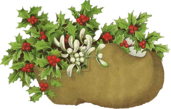 Holly and Mistletoe Christmas Illustration