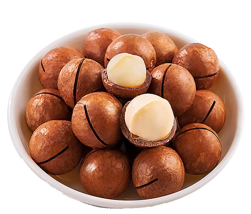 Bowl of Macadamia Nuts
