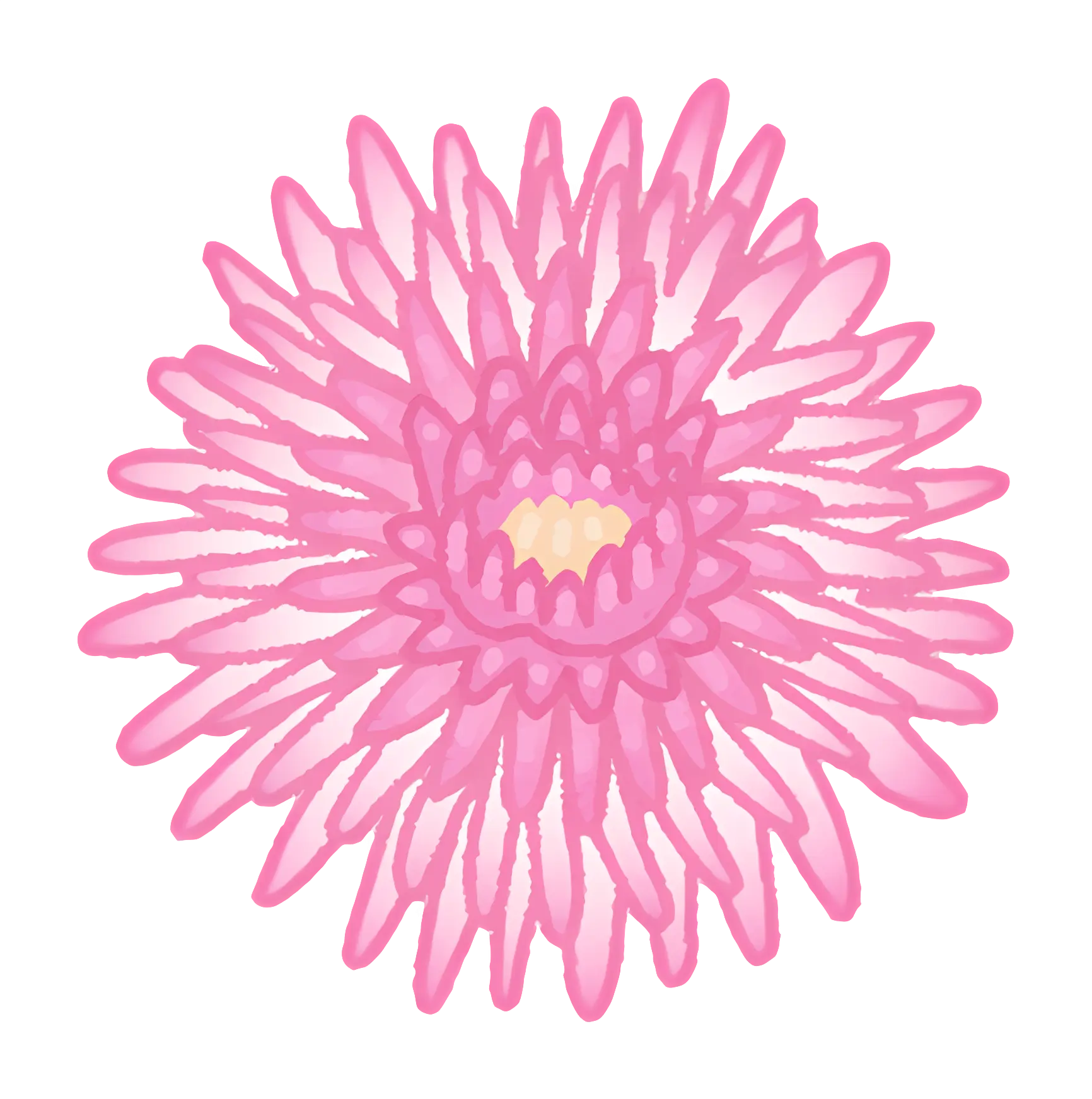 Pink Flower Bloom