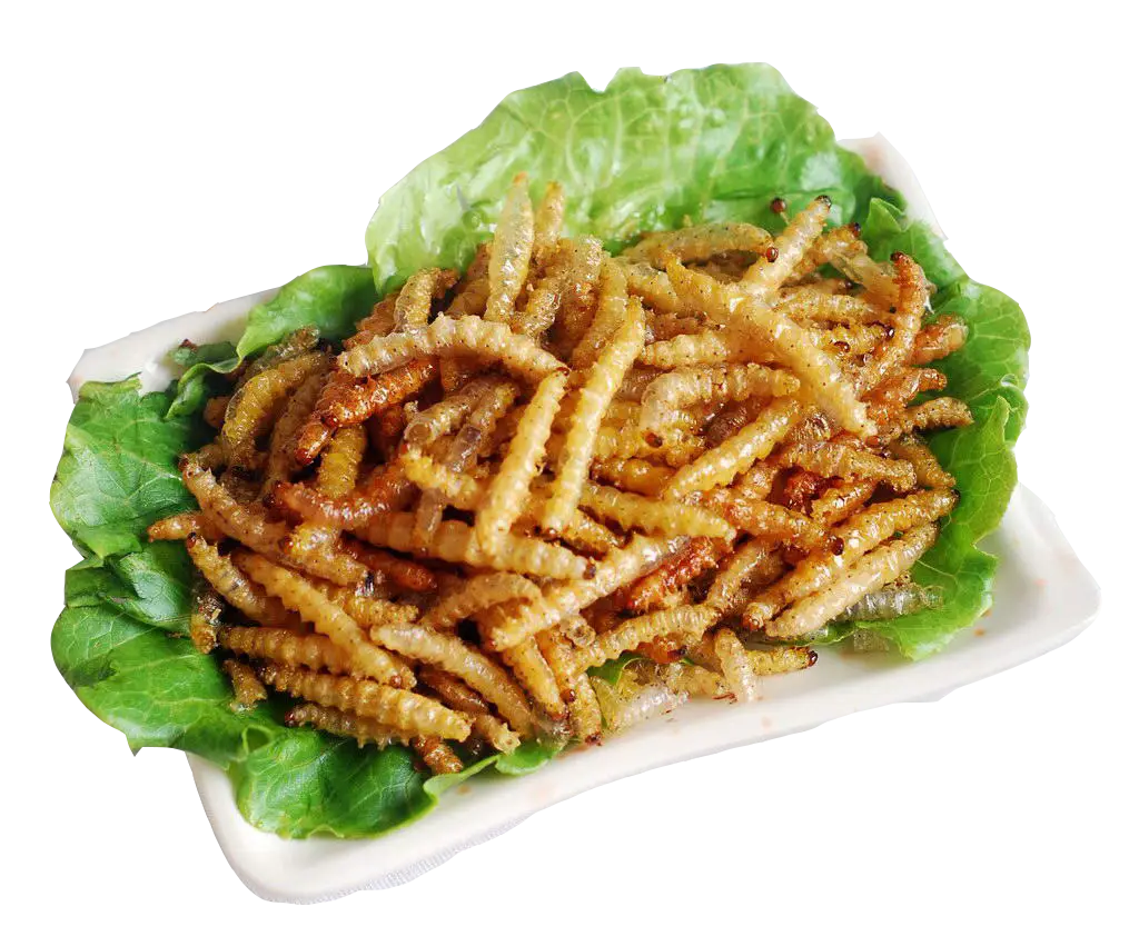 Fried Worms on Lettuce