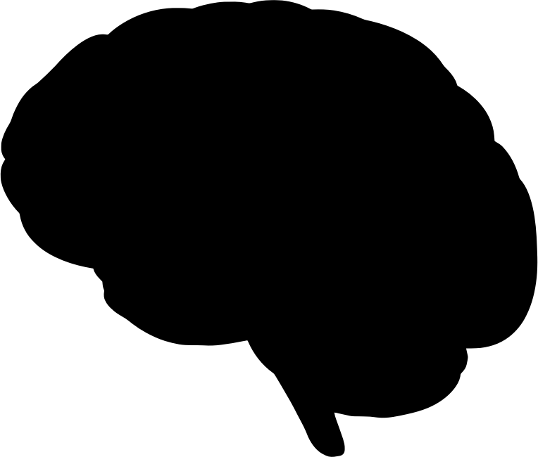 Brain Silhouette Representation