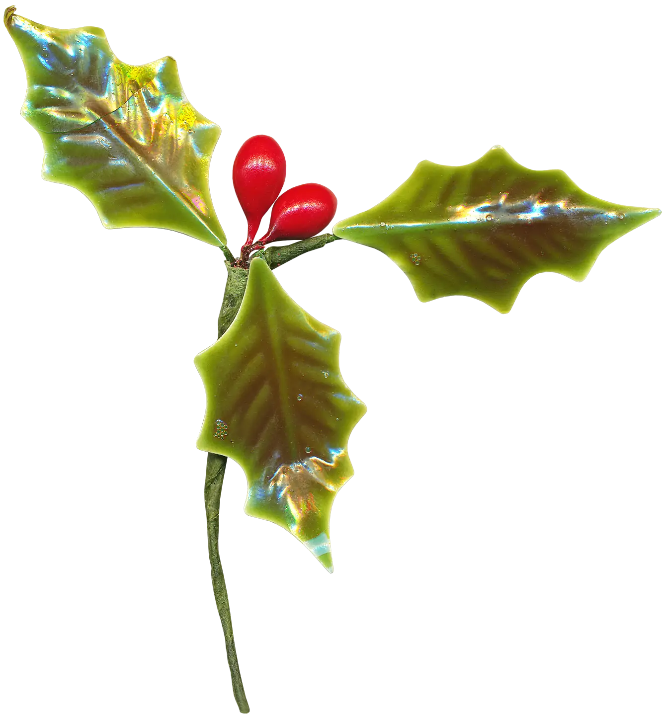 Holly Leaves with Berries