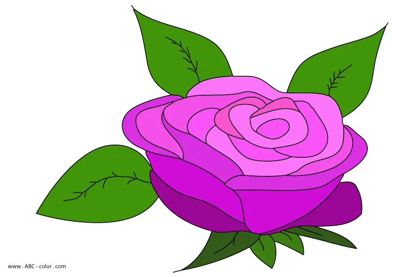 Pink Rose Cartoon Illustration