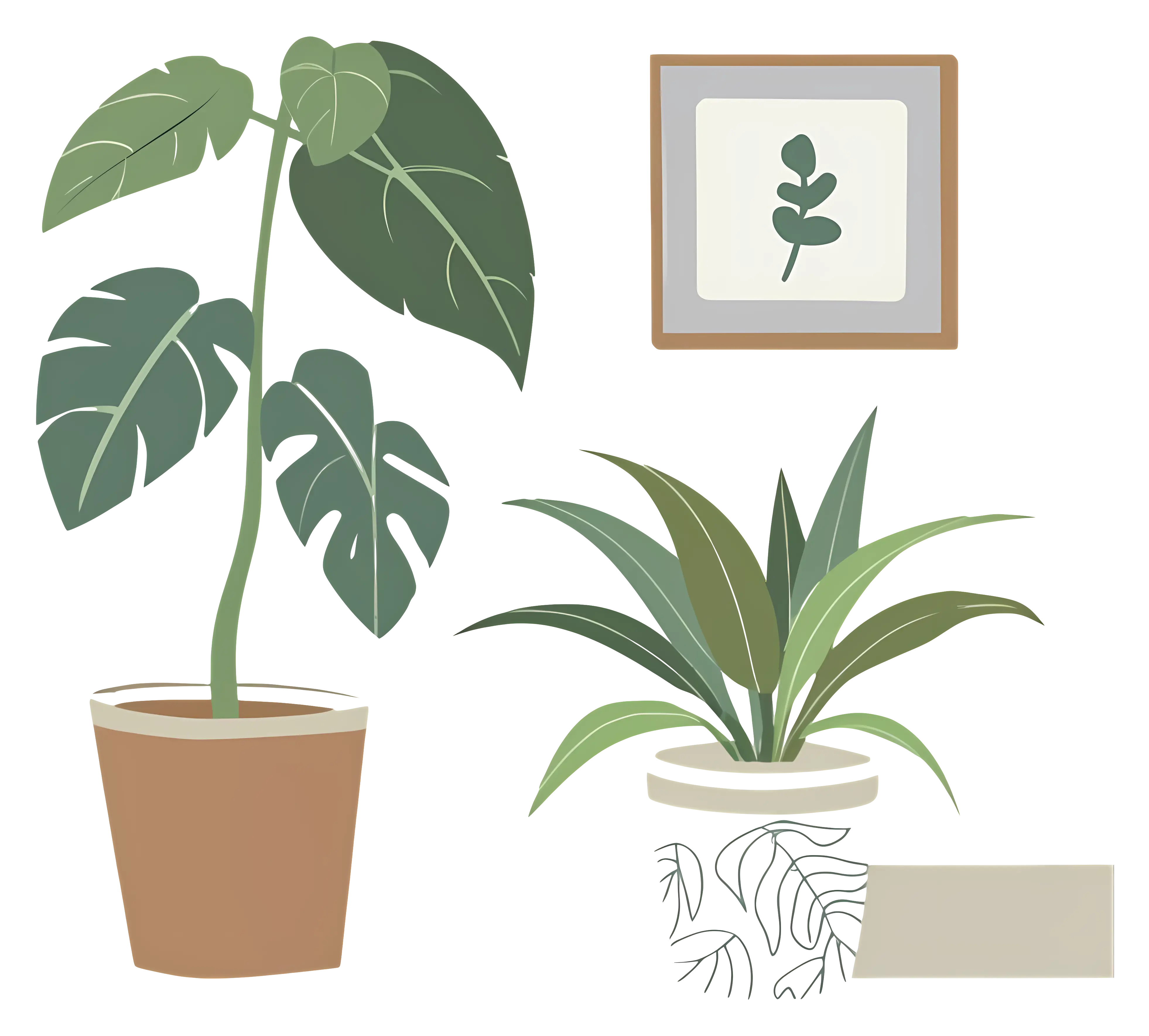 Indoor Potted Plants