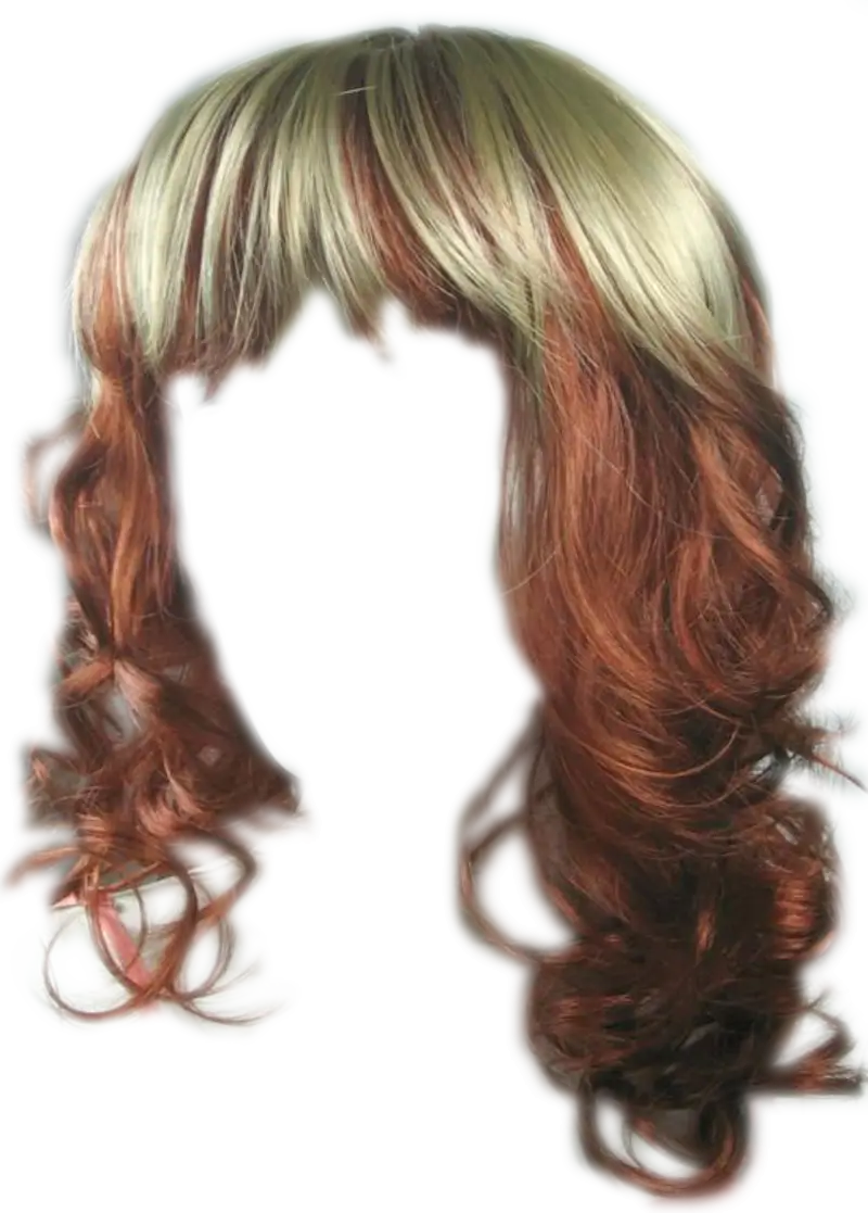Brown and Blonde Wig with Curls