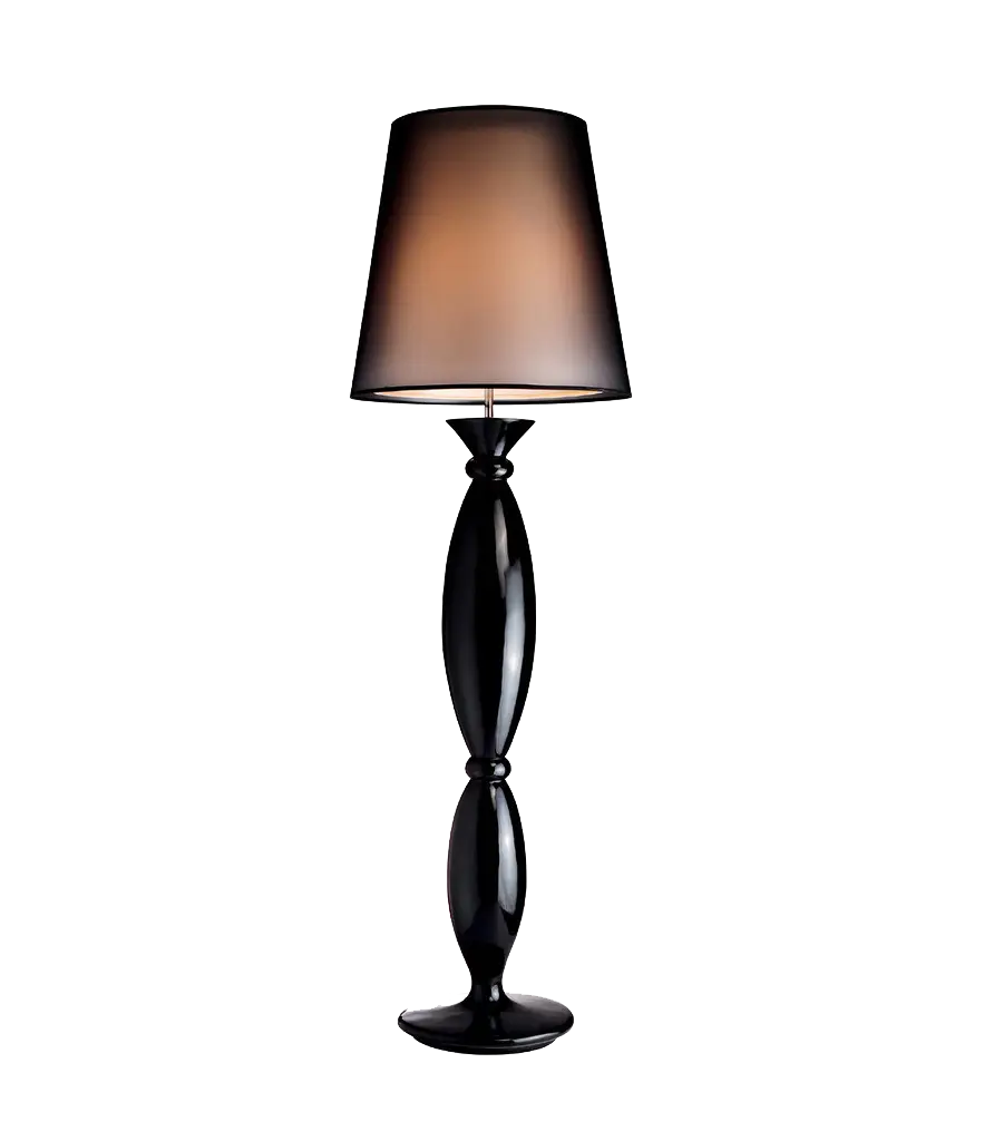 Black Modern Floor Lamp for Home