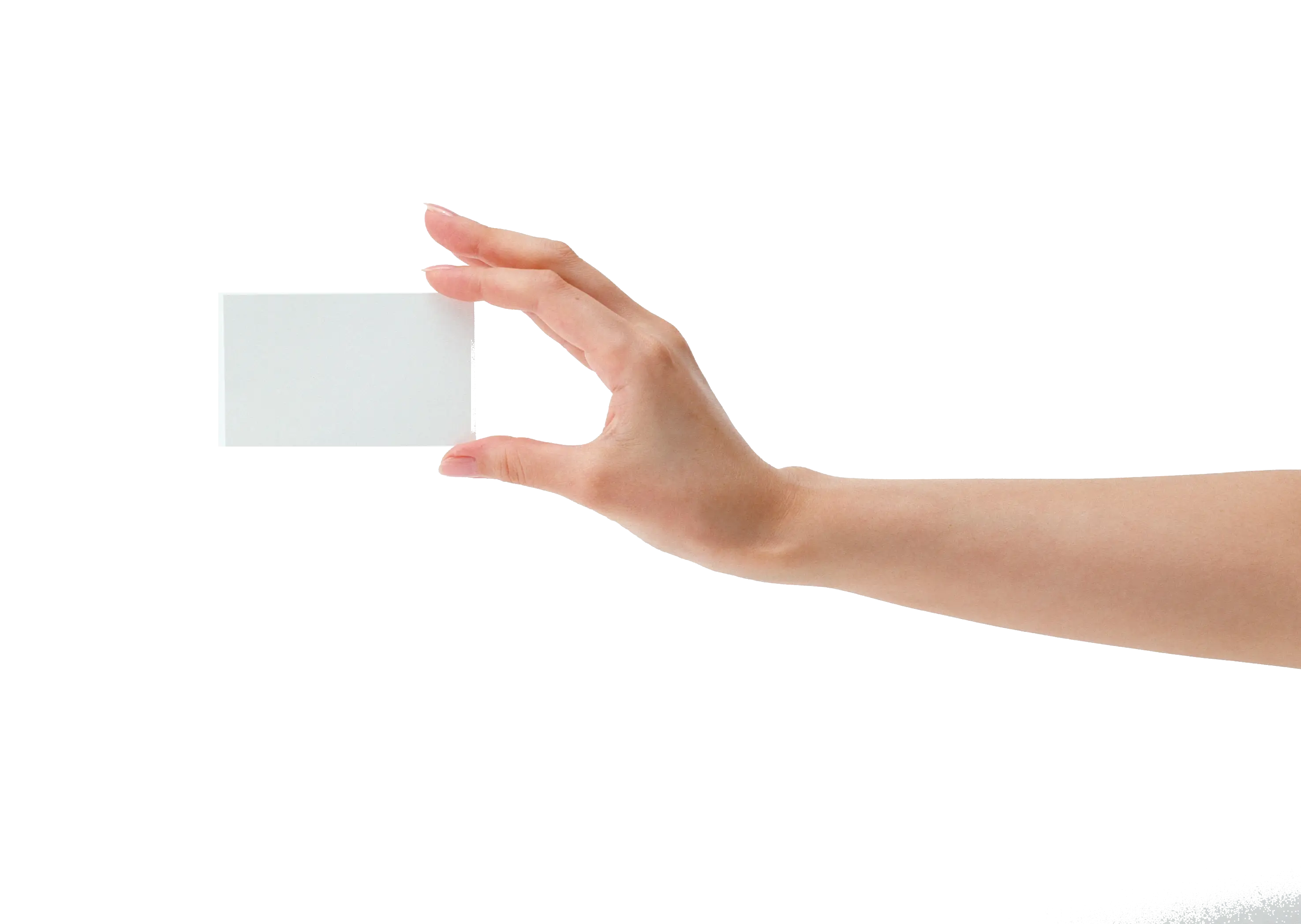 Hand Holding a Blank Card