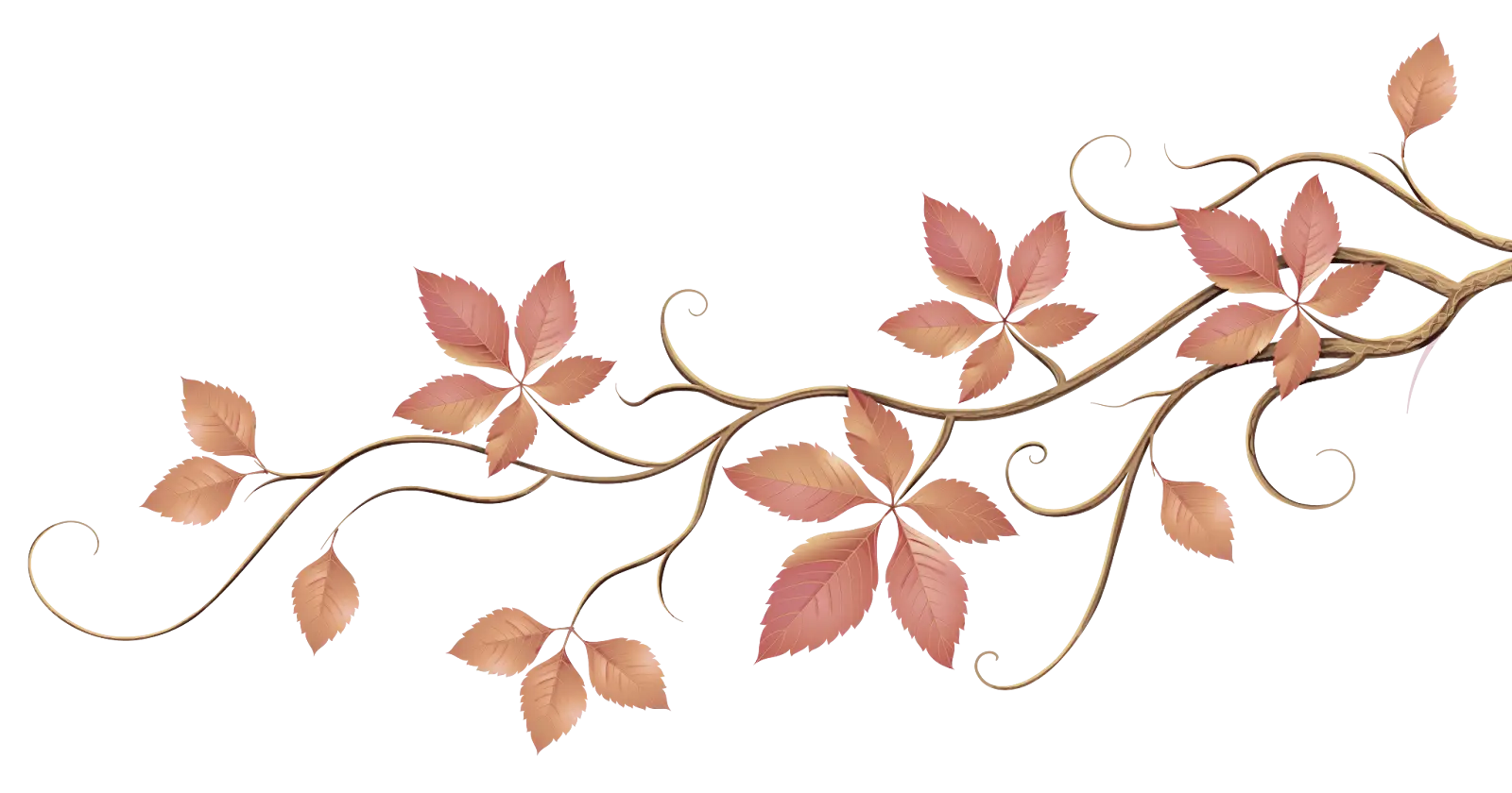 Autumn Branch with Red Curling Leaves