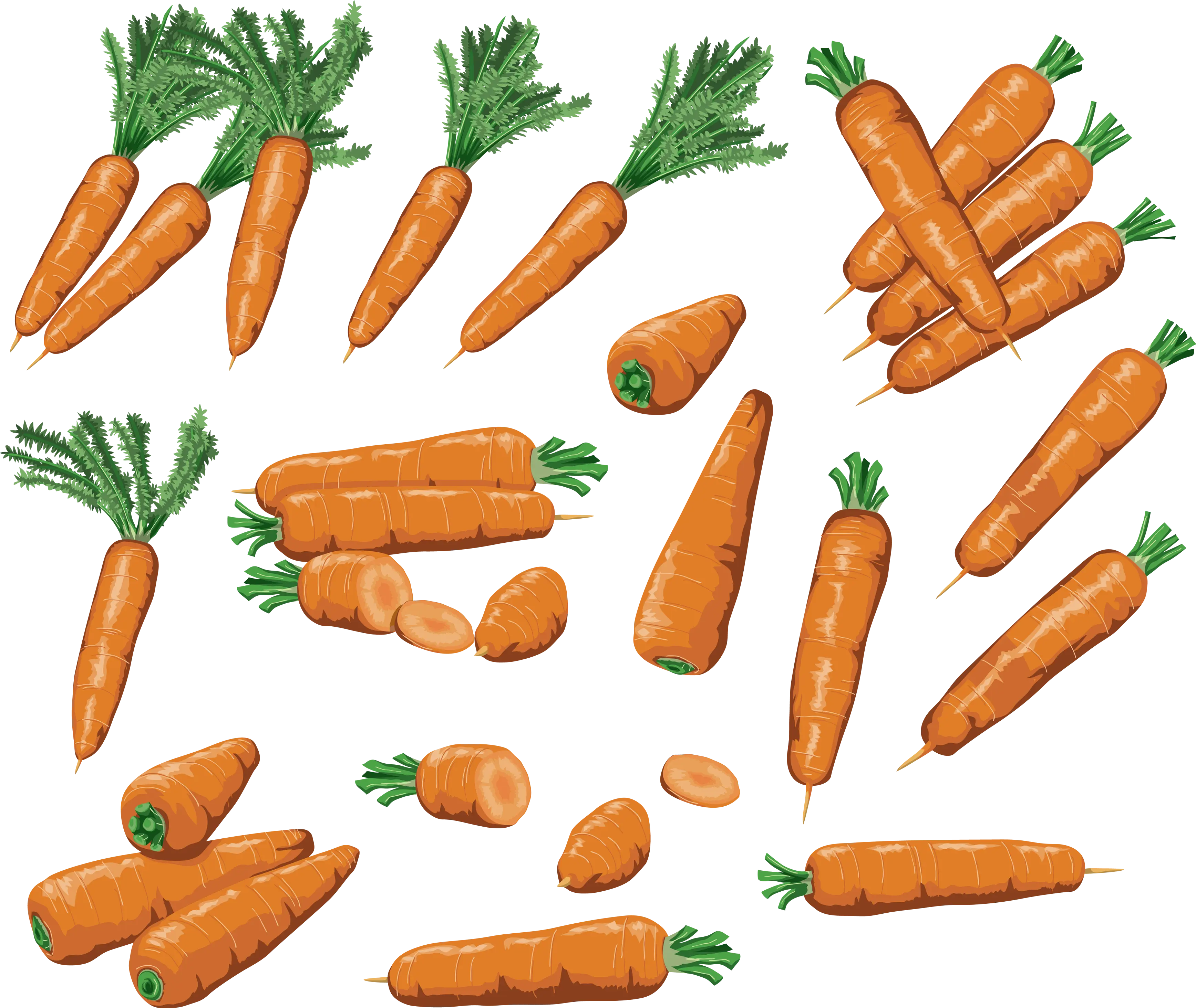 Collection of Carrots