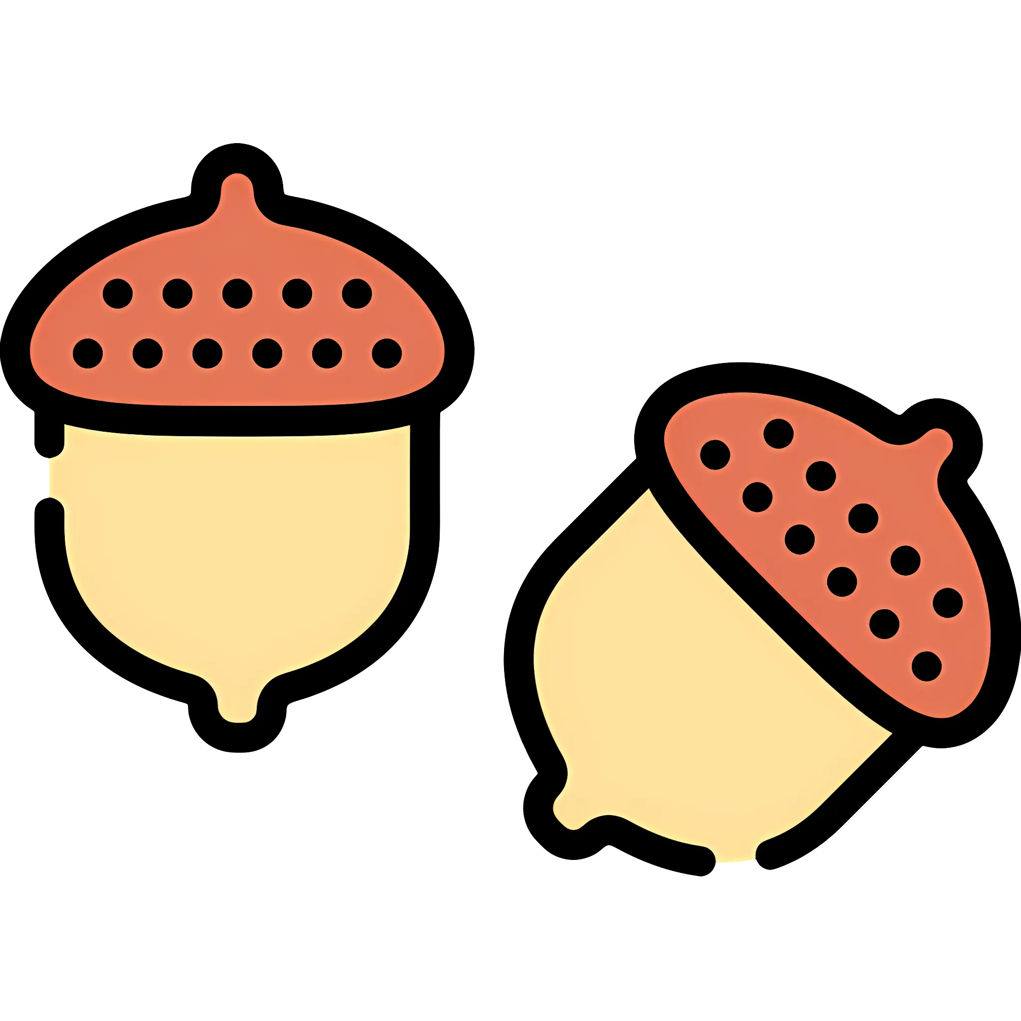 Cute Acorns Illustration