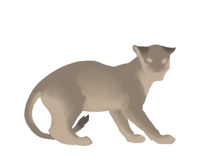 Beige Cat Silhouette Illustration