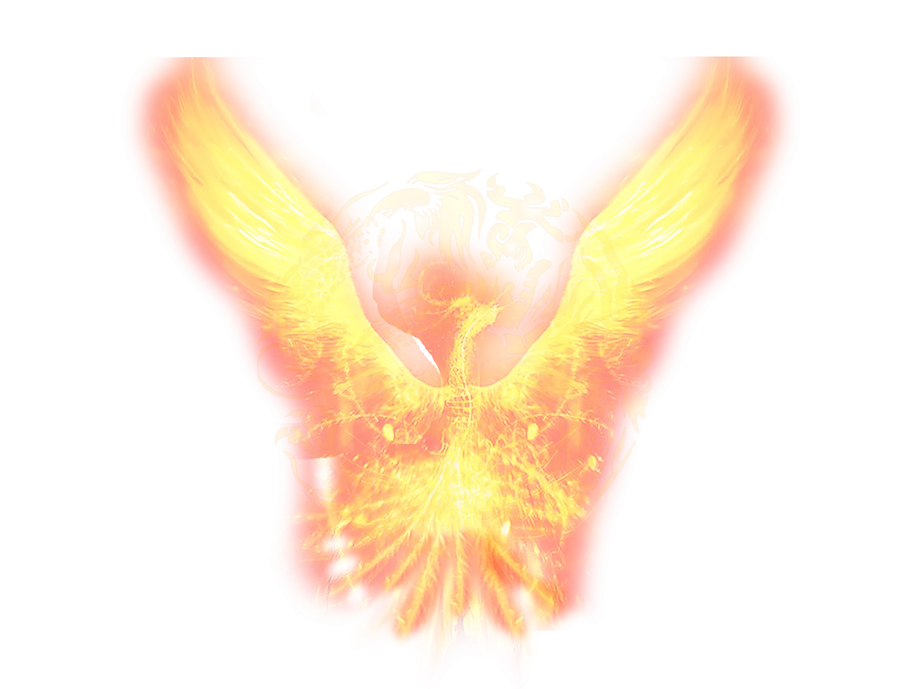 Fiery Phoenix Rising