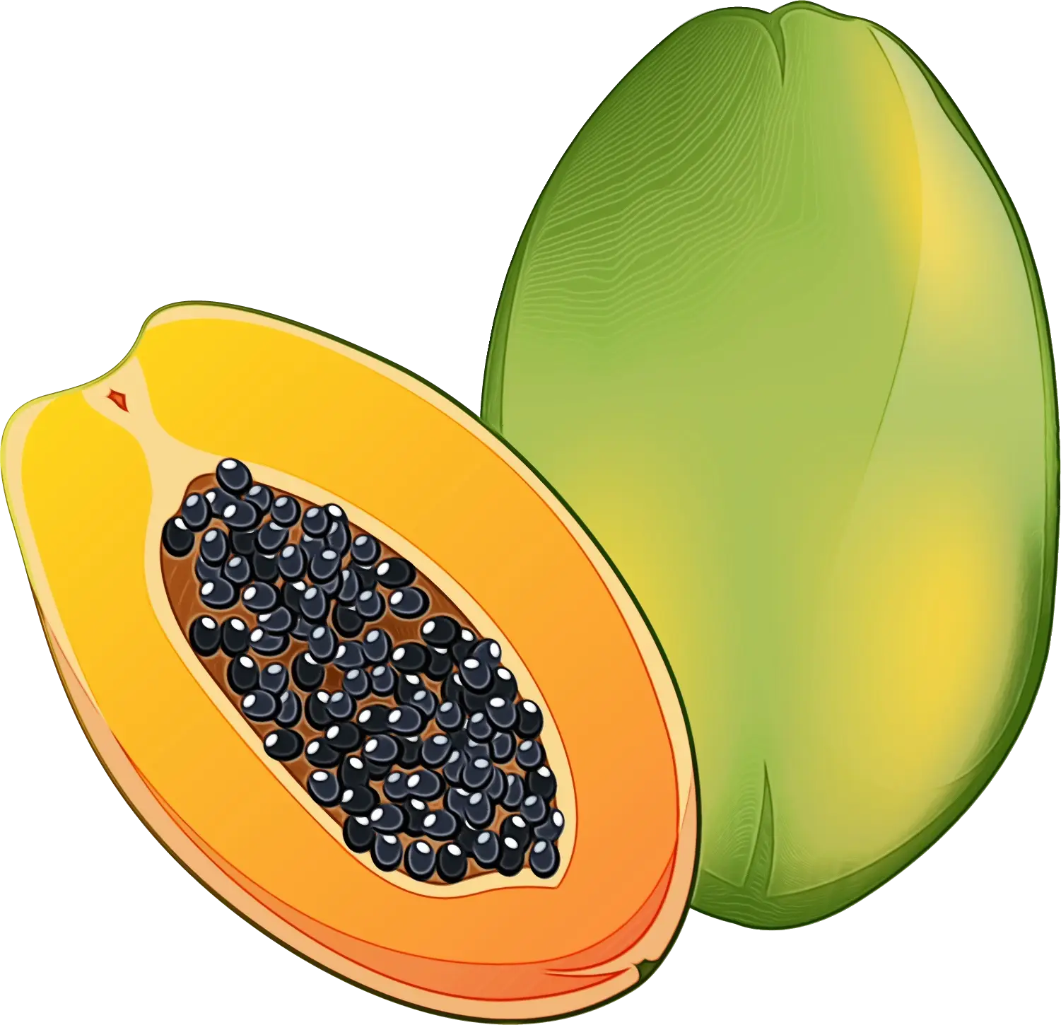 Papaya Fruit Illustration