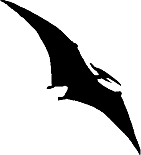 Silhouette of a Flying Pterosaur