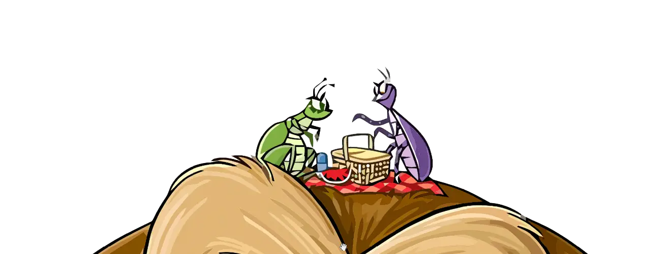 Cartoon Ants Having a Picnic