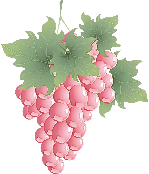 Cartoon Bunch of Pink Grapes with Leaves