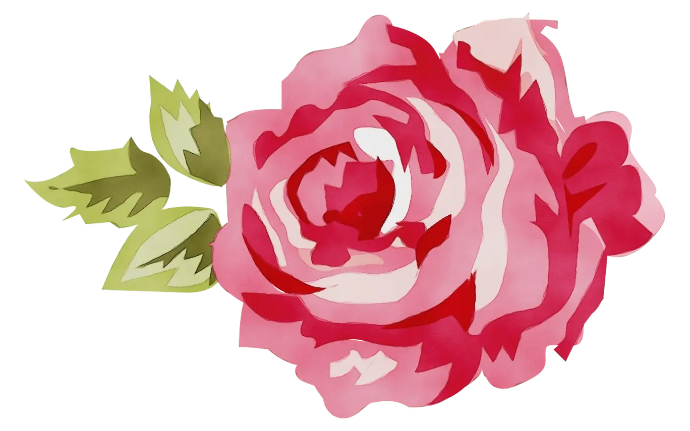 Pink Rose Illustration with Green Leaves