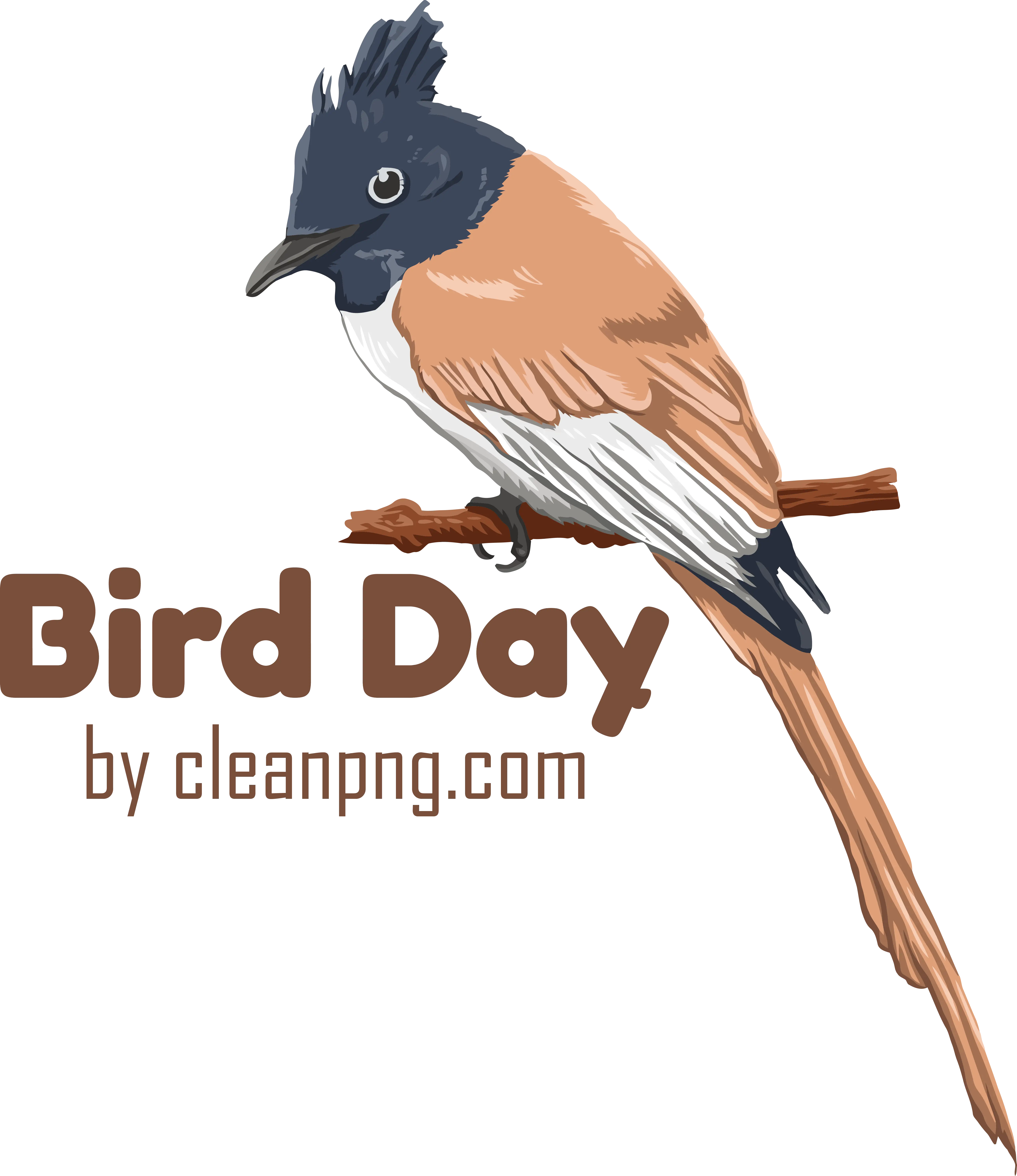Beautiful Small Bird Illustration