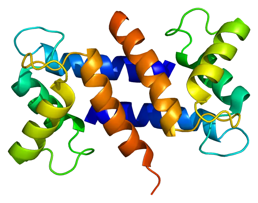 Protein Structure Scientific Illustration