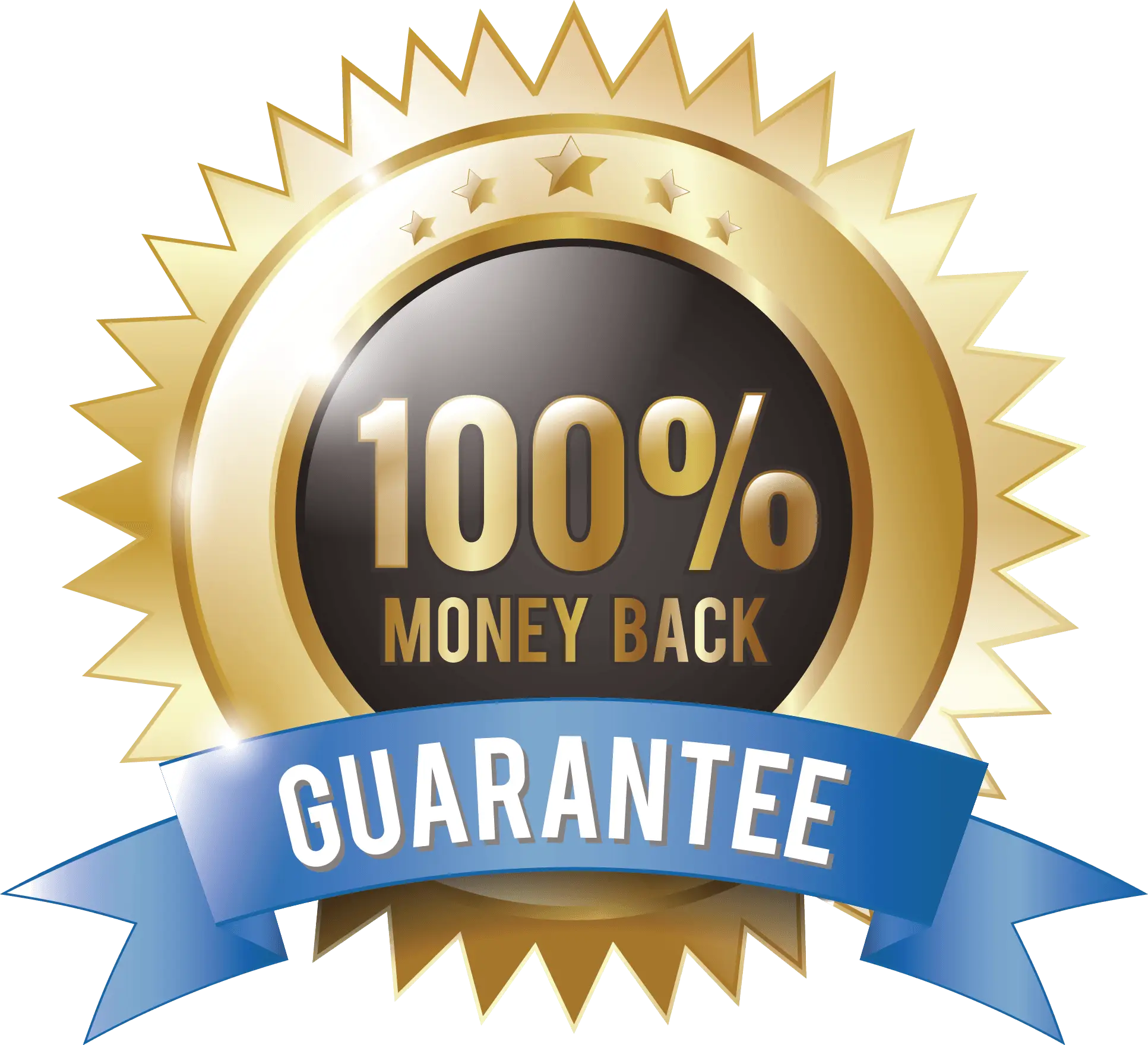 100% Money-Back Guarantee Badge Icon