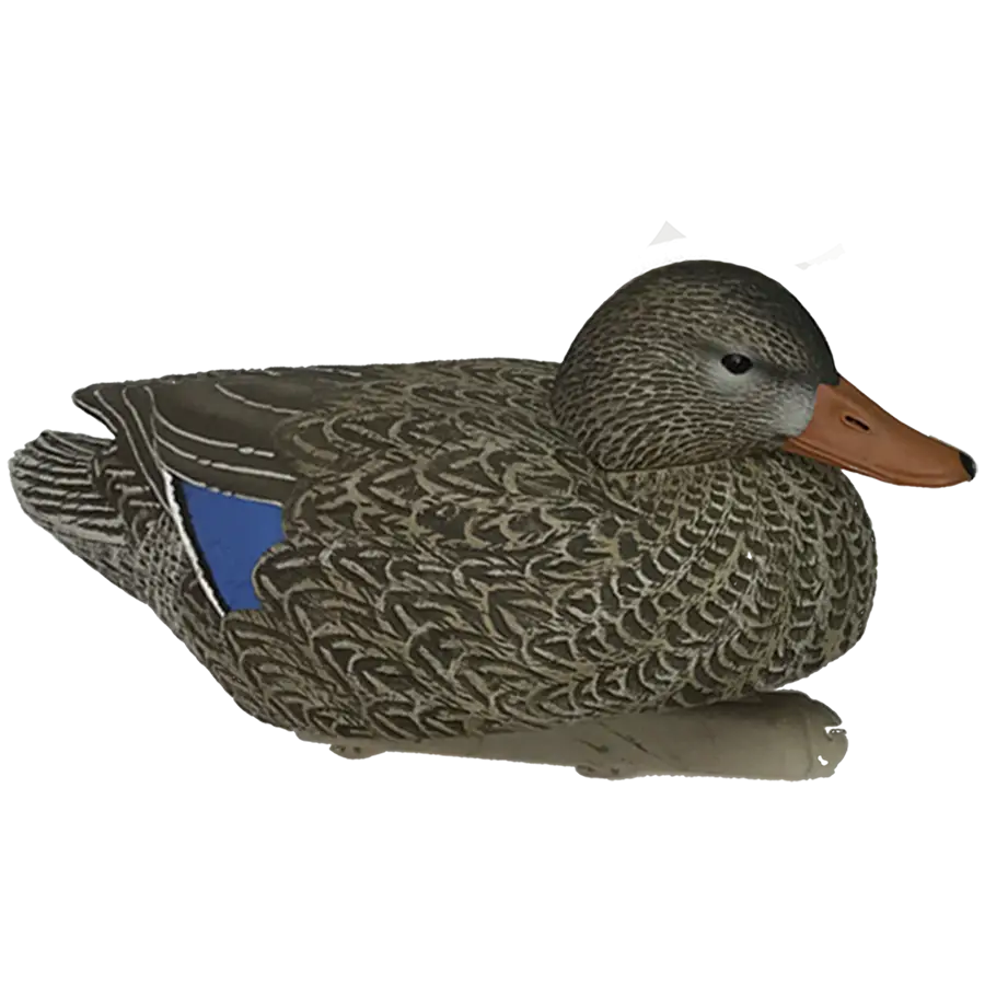 Realistic Duck Decoy for Hunting