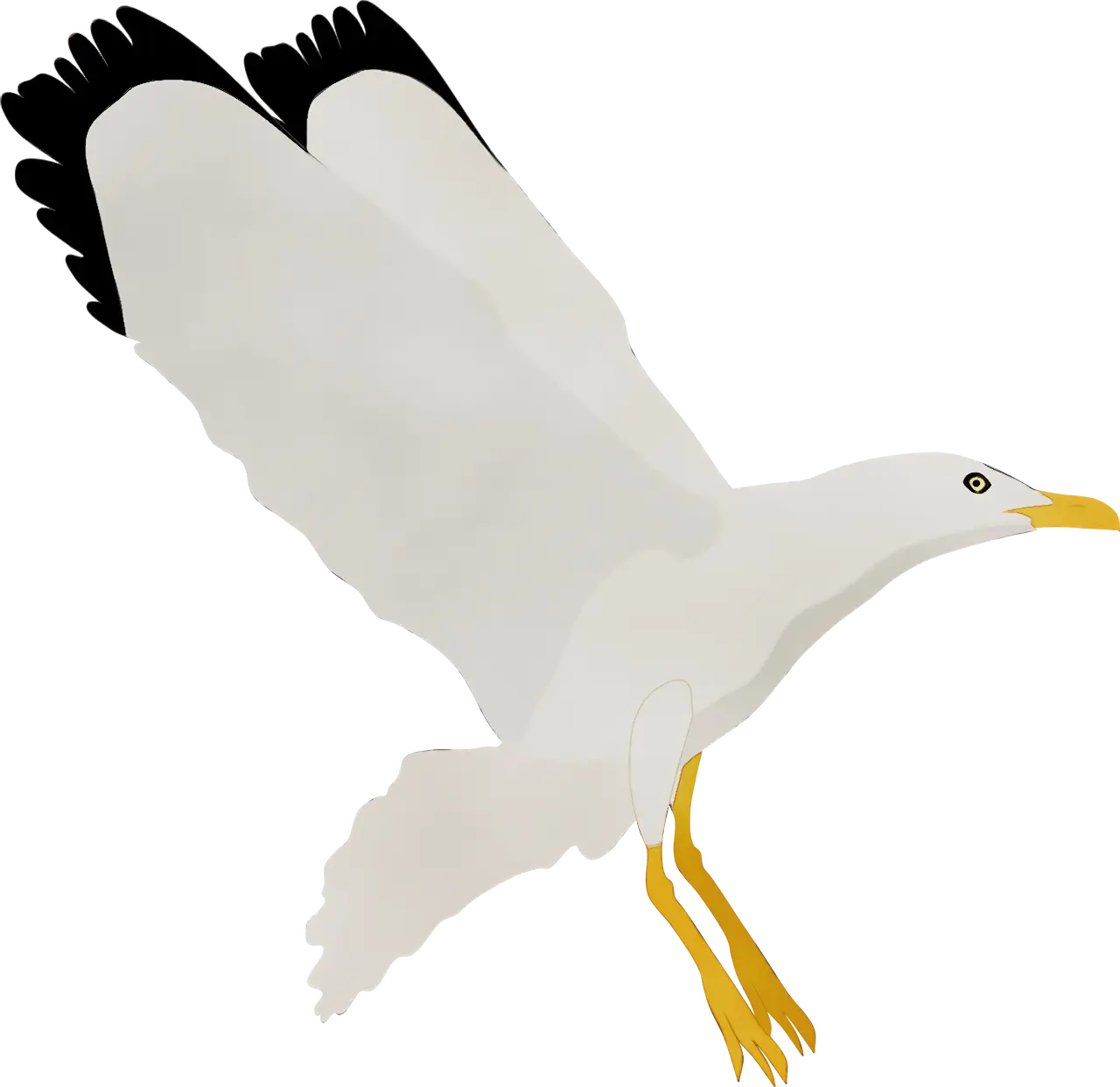 Seagull Flying Gracefully Illustration