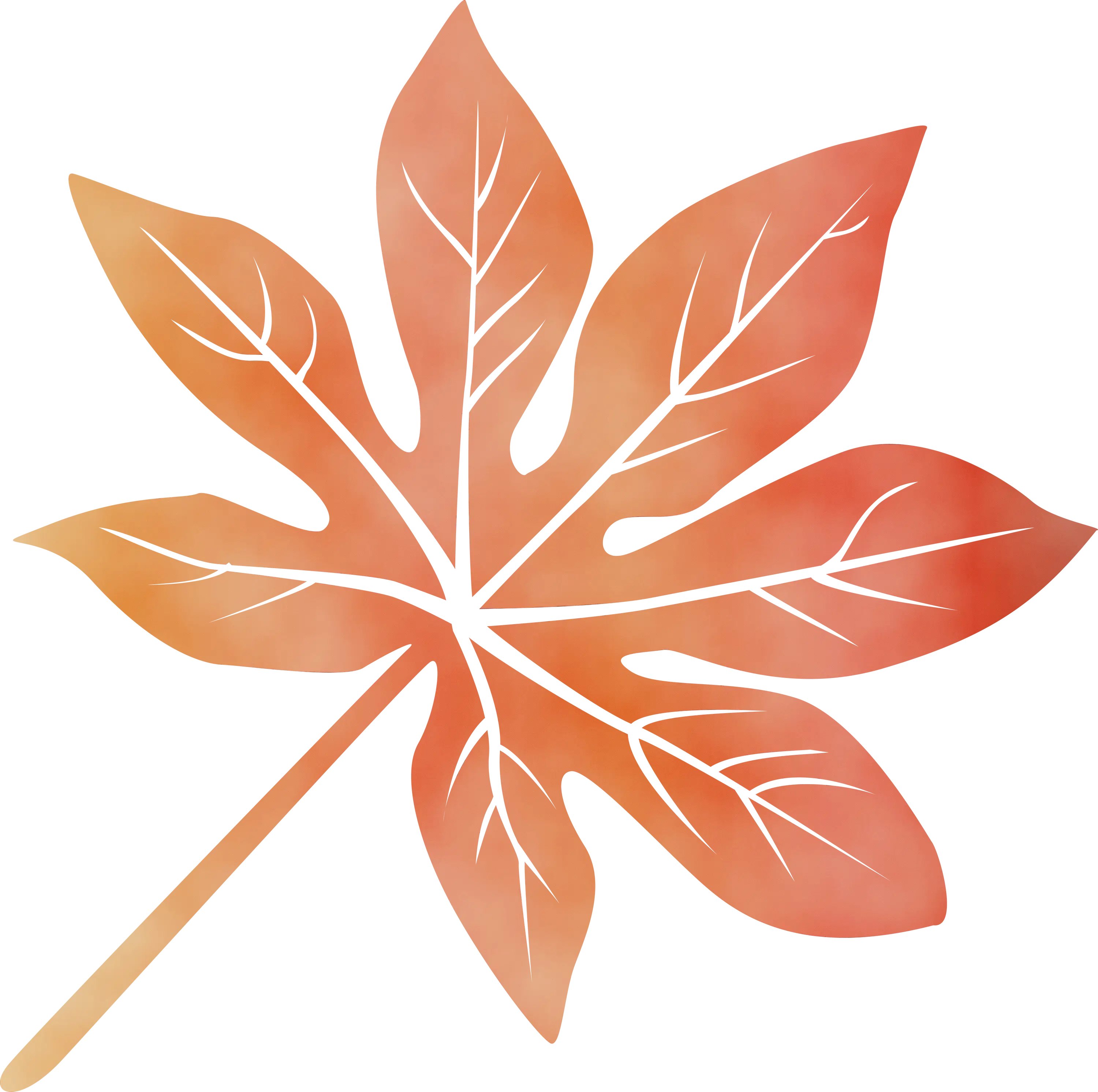 Orange Maple Leaf Symbolizing Autumn