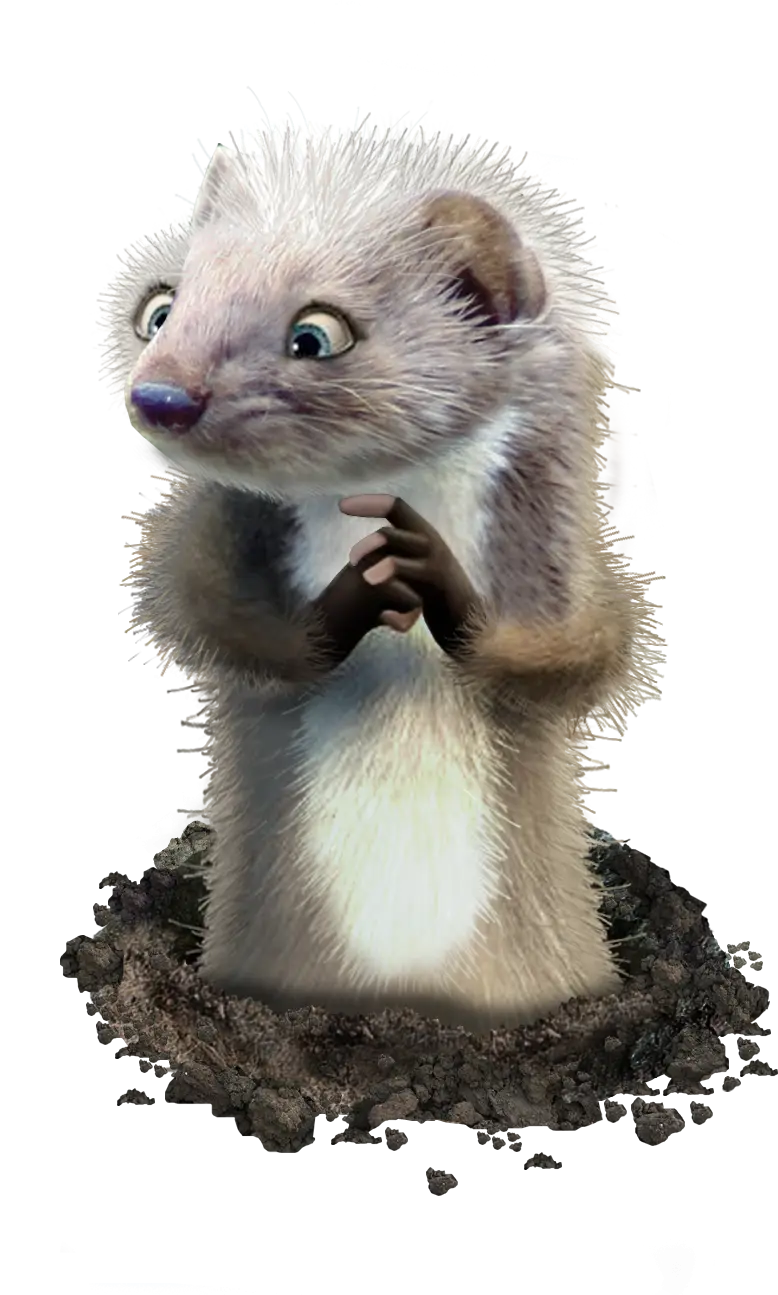 Cartoon Weasel Character