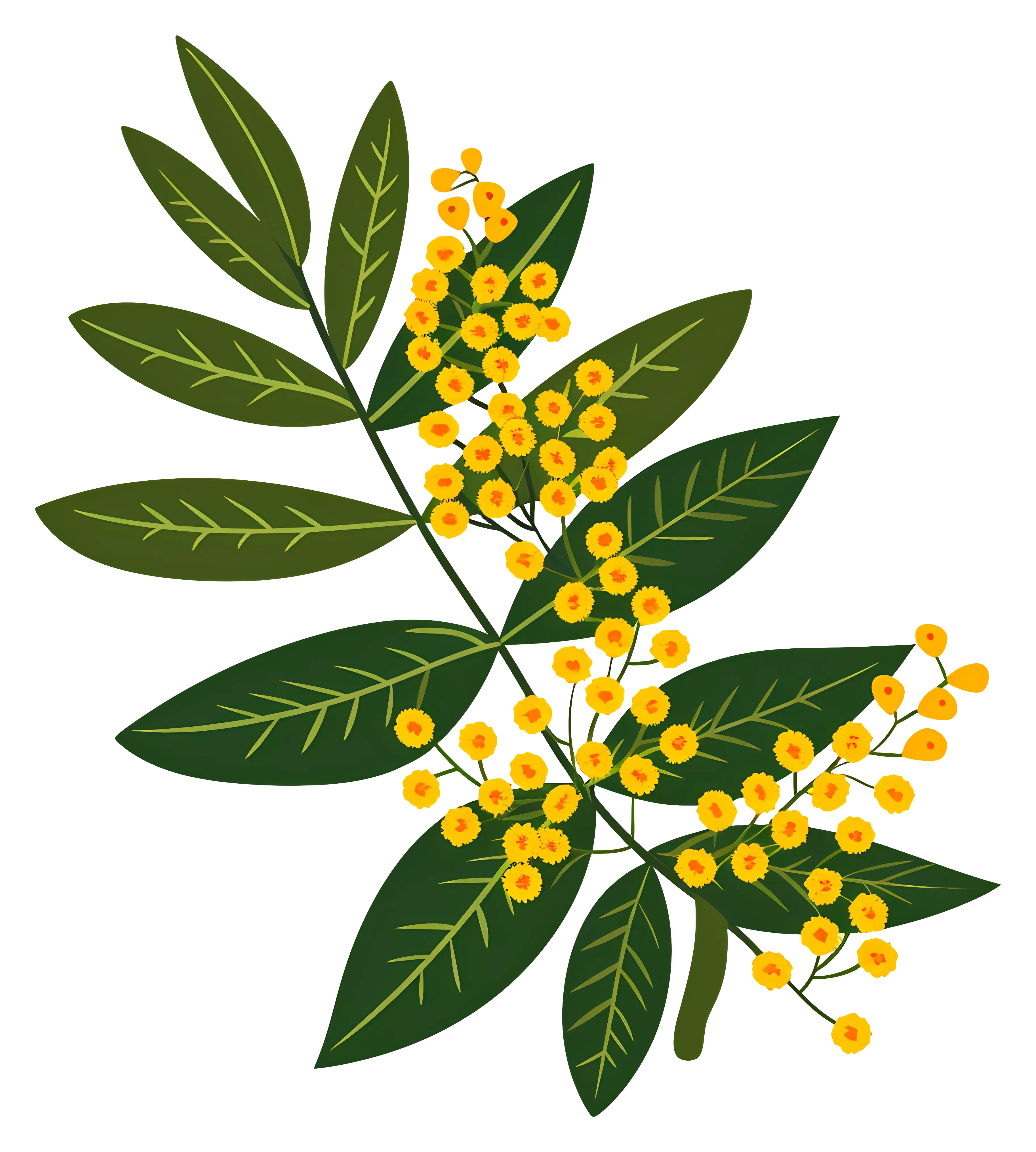 Yellow Flowers on Branch