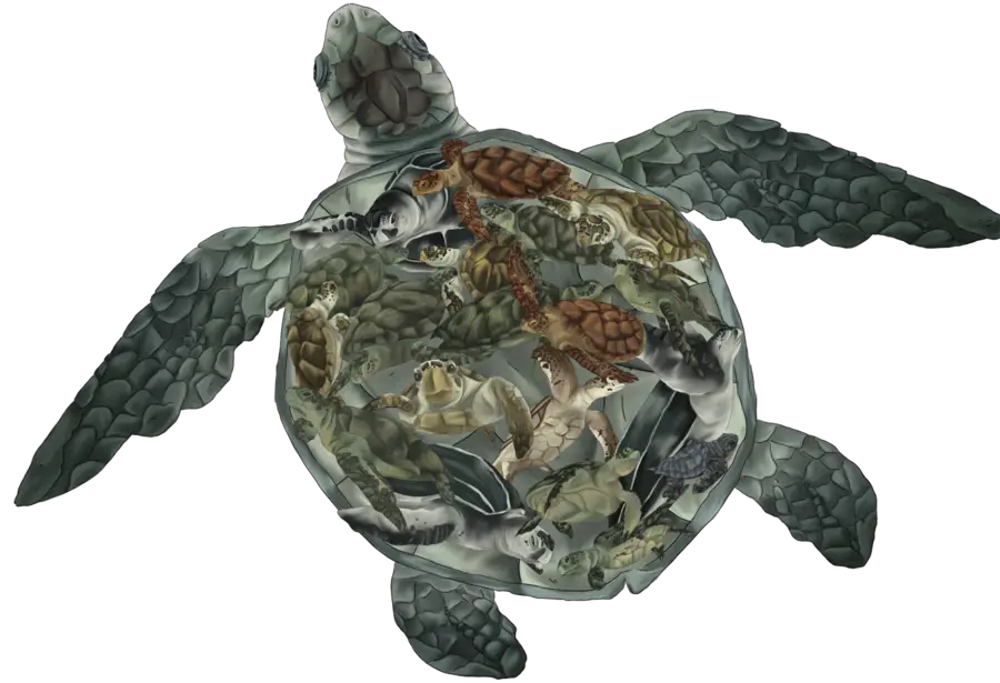 Sea Turtle with Artistic Nature Design