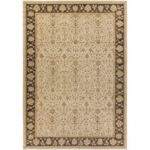 Traditional Patterned Rug for Home Decor